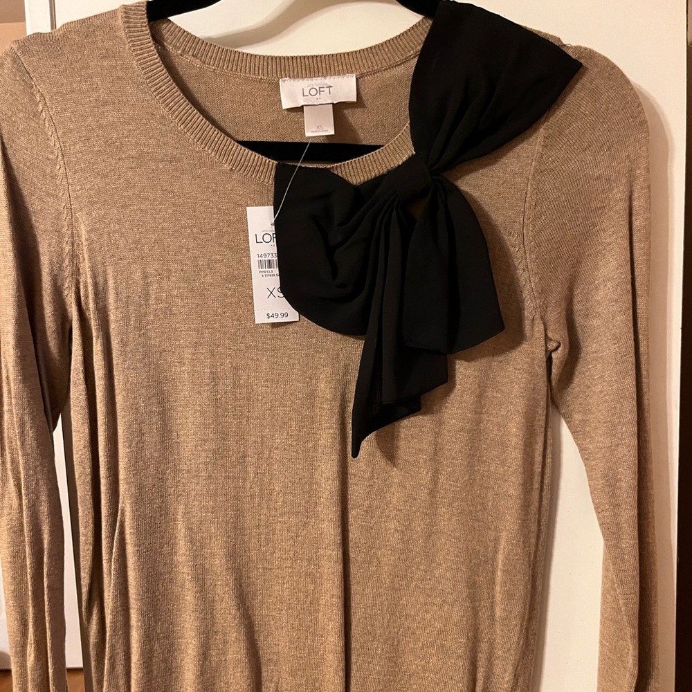 NWT, never worn LOFT sweater.